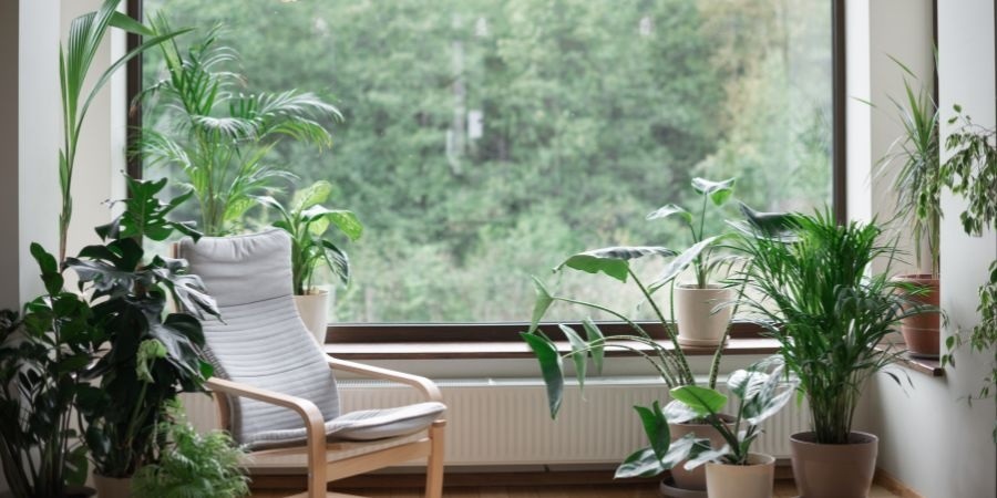 Pokój w botanicznym stylu